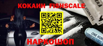 гидропоника Новозыбков