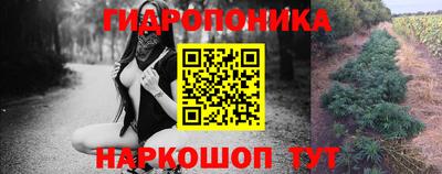 гидропоника Новозыбков