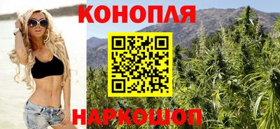 гидропоника Новозыбков